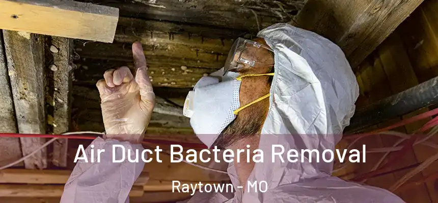  Air Duct Bacteria Removal Raytown - MO