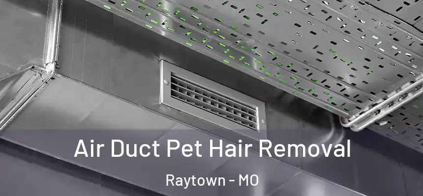 Air Duct Pet Hair Removal Raytown - MO