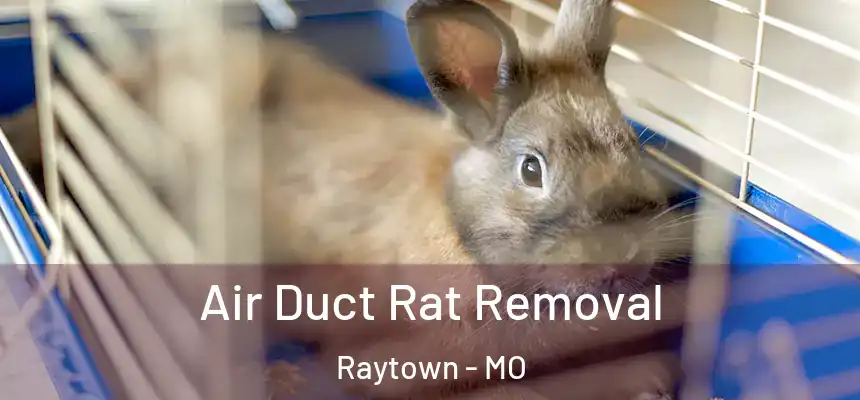  Air Duct Rat Removal Raytown - MO