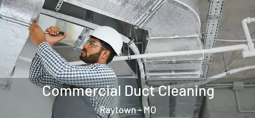  Commercial Duct Cleaning Raytown - MO