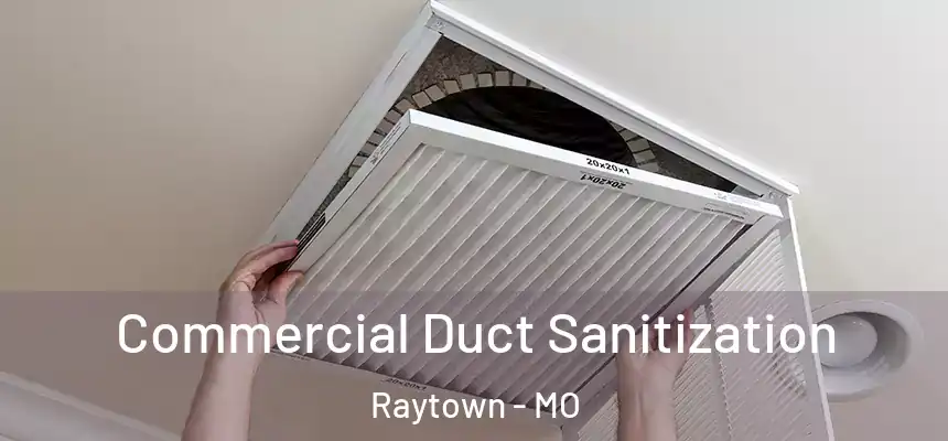  Commercial Duct Sanitization Raytown - MO
