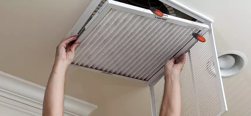 Preventive Cockroach-Proofing for Ducts in Raytown
