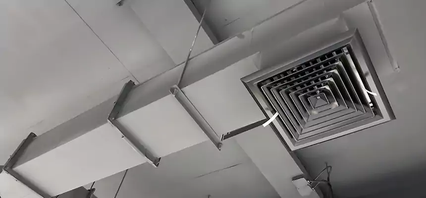 Our Rodent Droppings In Vents Services in Raytown, MO