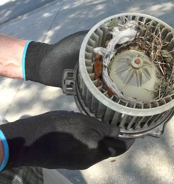 About Air Duct Mice Removal in Raytown, MO