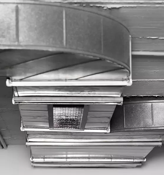 Professional Air Duct Pest Removal in Raytown, MO