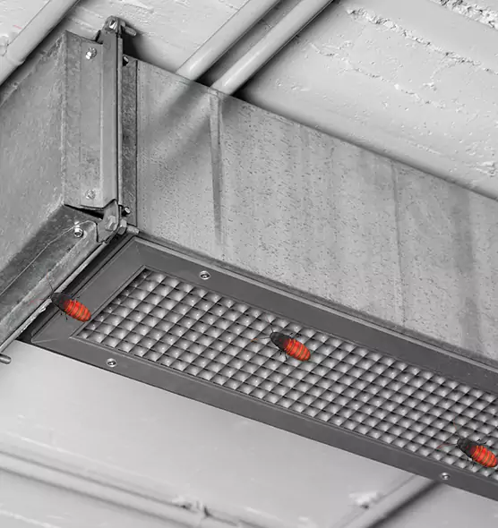 Affordable Insect Removal from Air Ducts in Raytown, MO