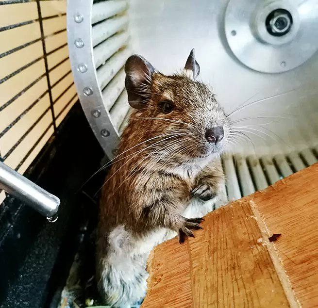 Why Homeowners & Businesses Trust Us Raytown, MO